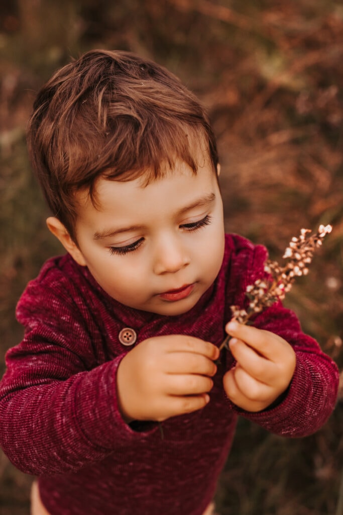 Family Photographer, a young boy examines a branch with small flowers